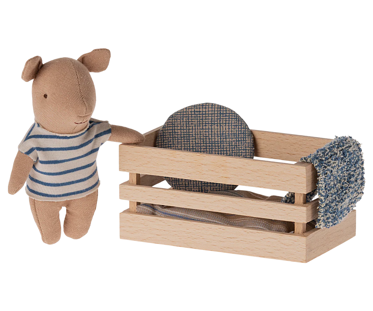 Pig, Baby in box - Boy