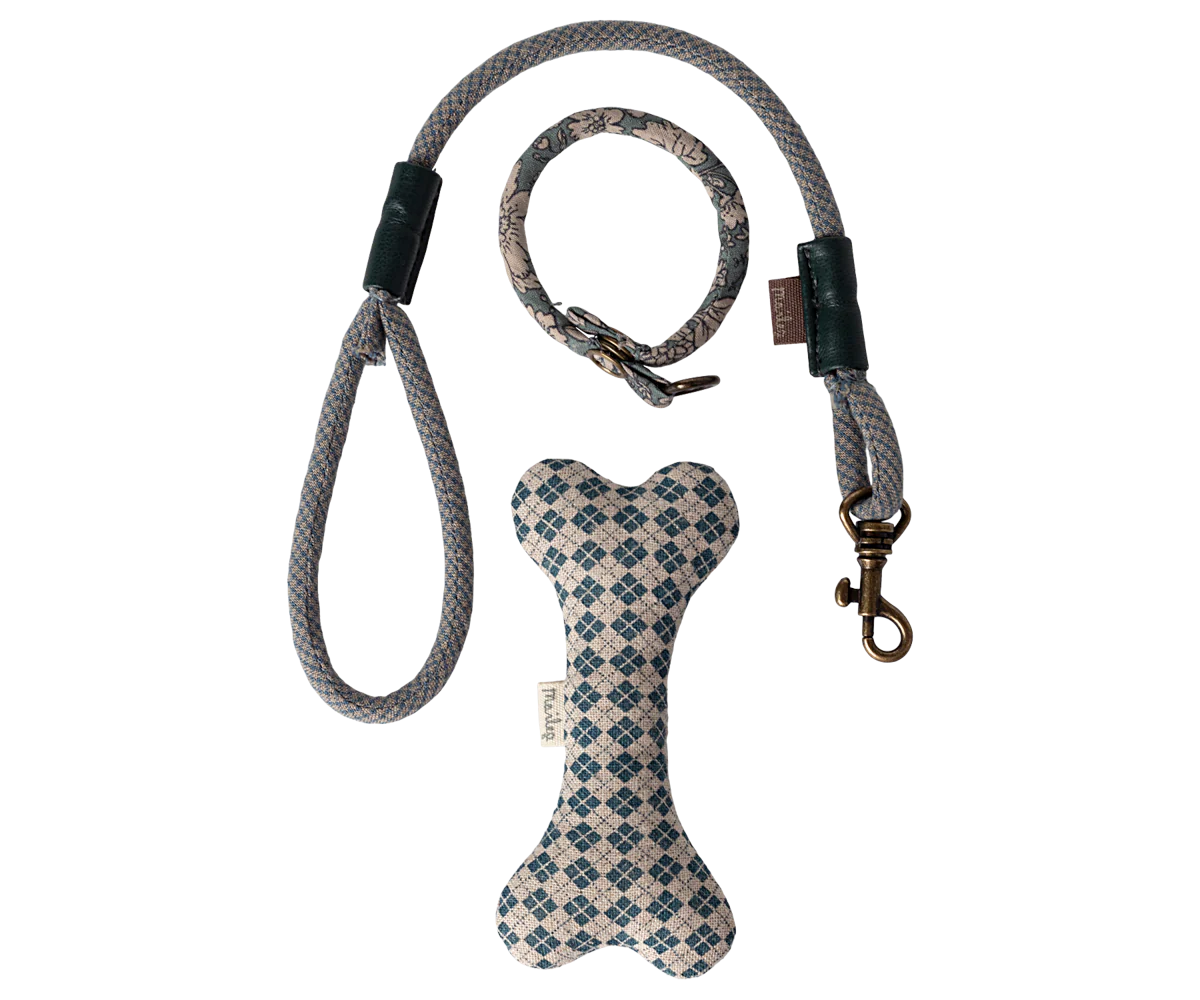 Puppy supply, Accessories - Blue