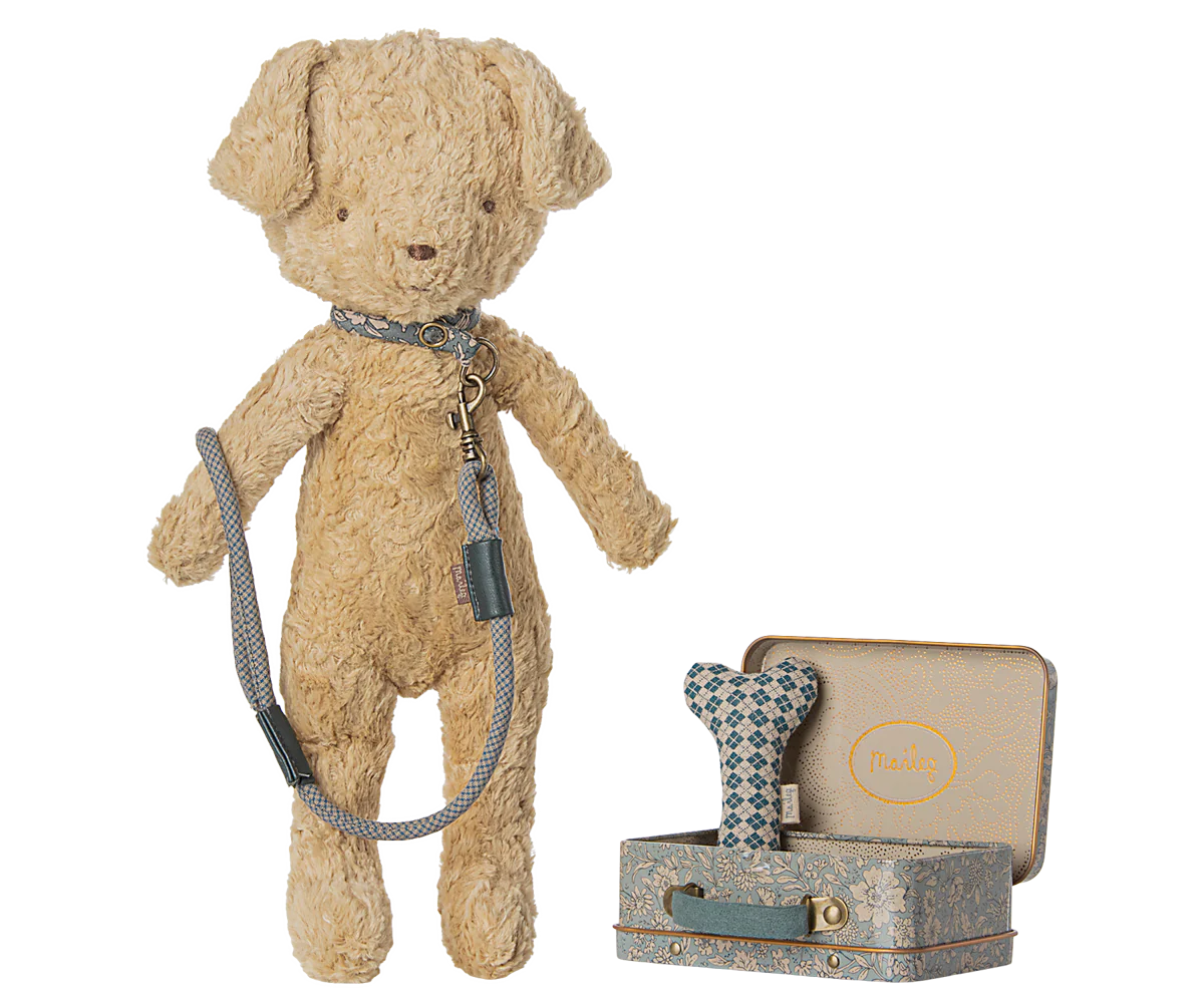 Puppy supply, Accessories - Blue