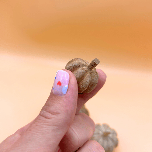 Hand holding a small brown seed pod against a blurred orange background