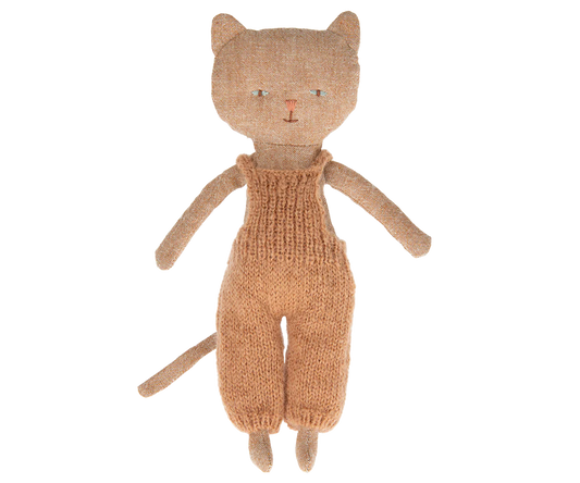 Chatons, Kitten - Ginger