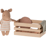 Pig, Baby in box - Girl