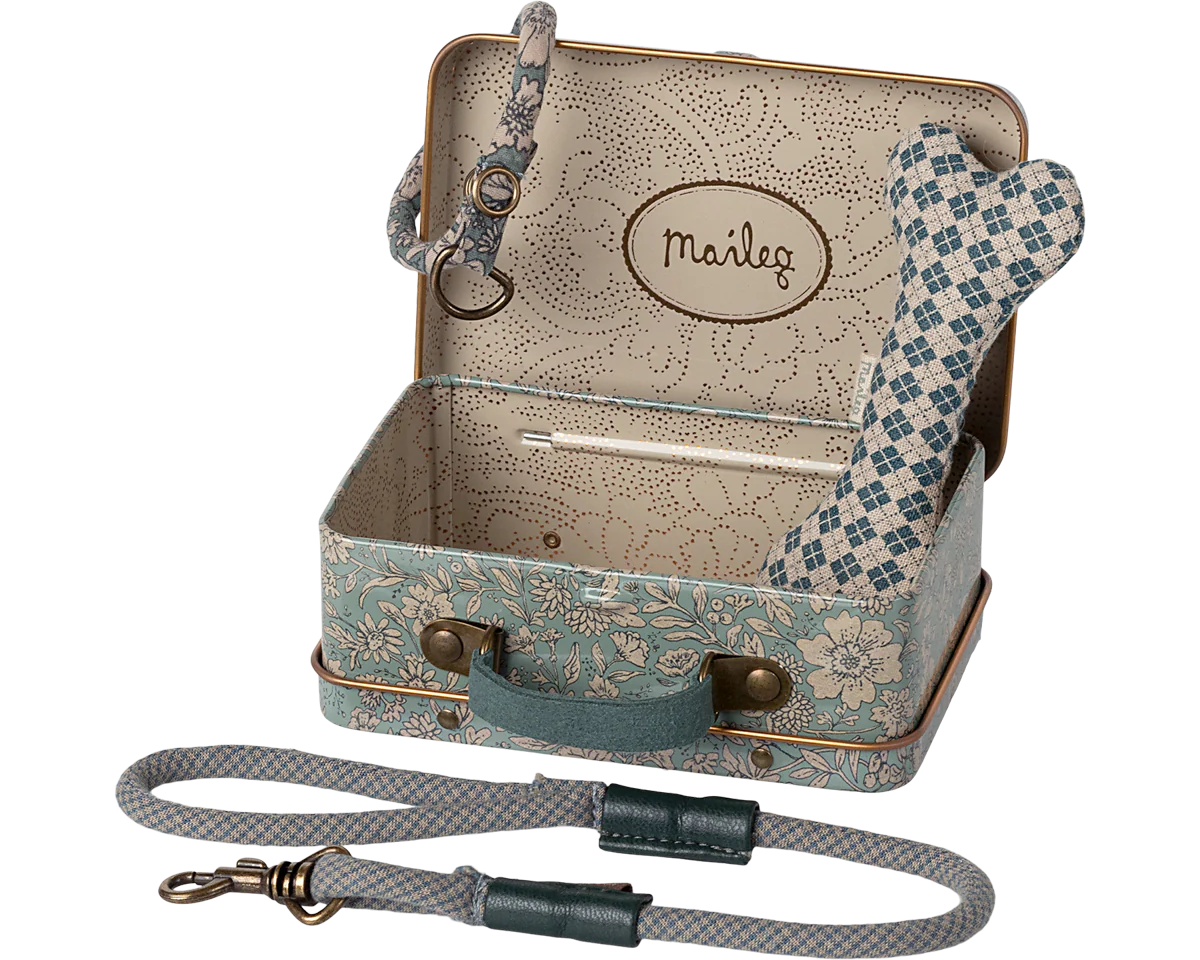Puppy supply, Accessories - Blue