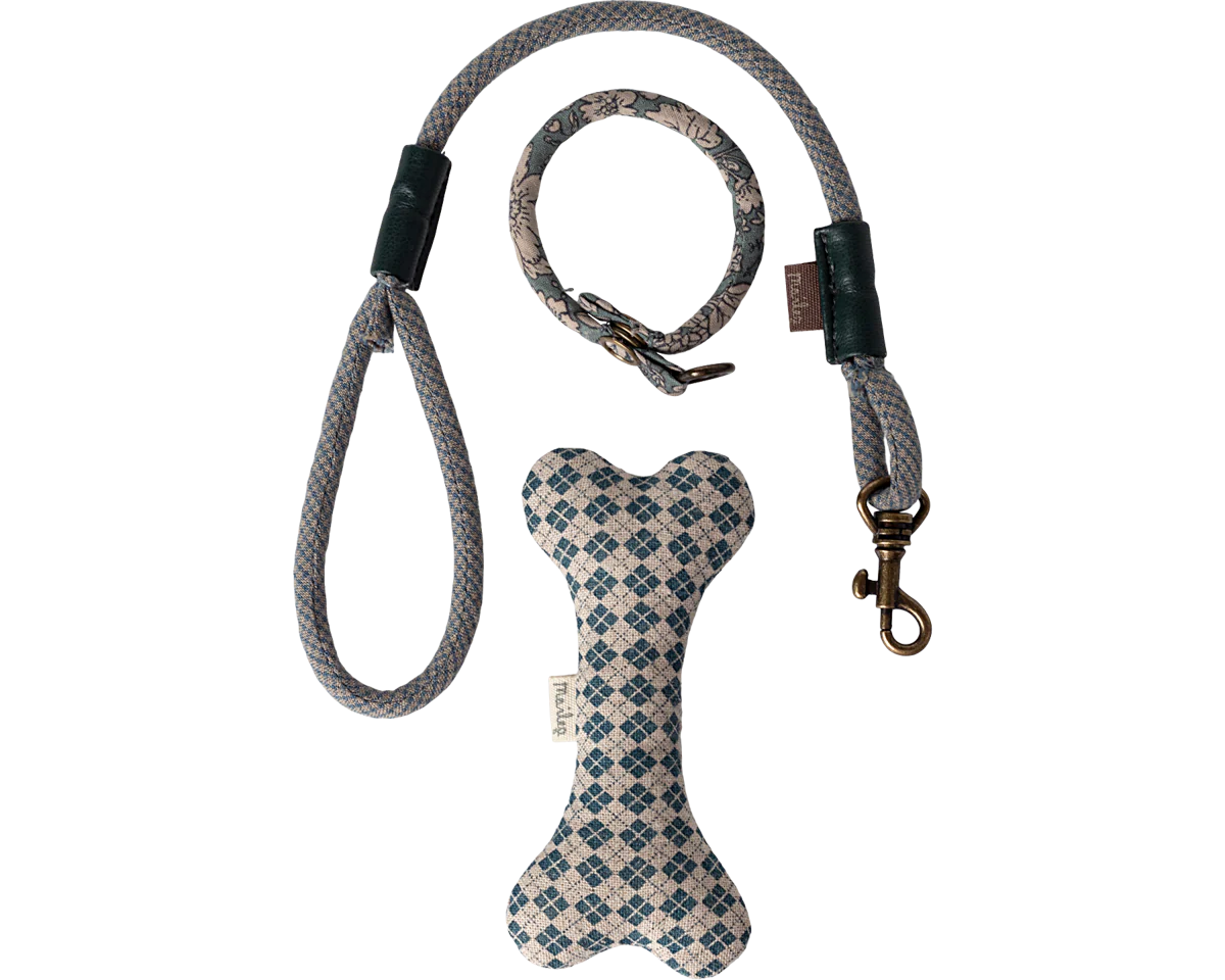 Puppy supply, Accessories - Blue