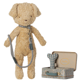 Puppy supply, Accessories - Blue