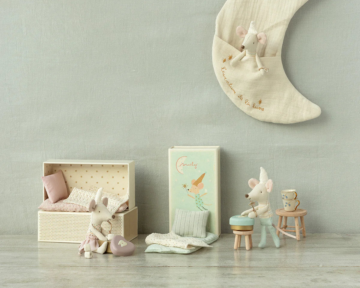 Tooth fairy mouse, Little brother in matchbox