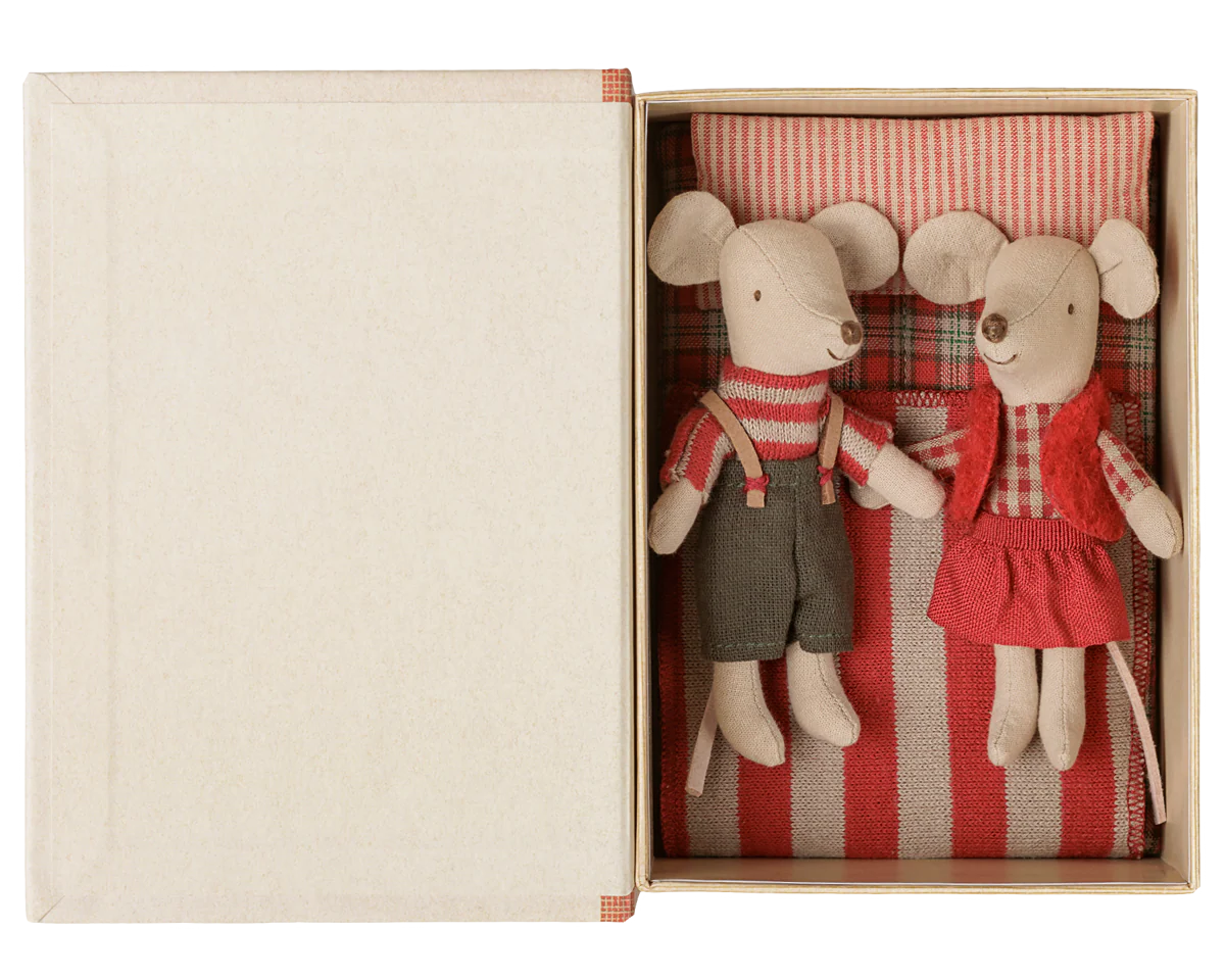 Christmas twin mice, Little sister and brother in book