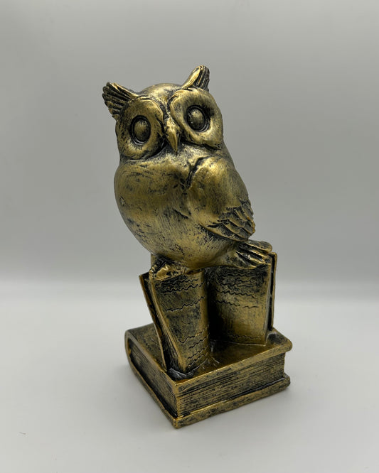 Golden Owl on Books