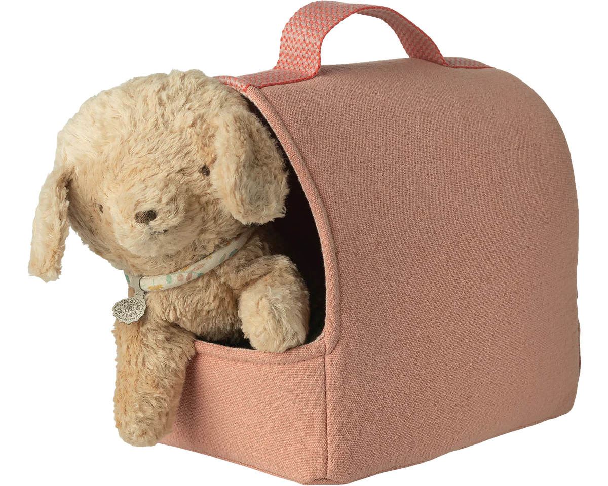 Pet carrier - Coral