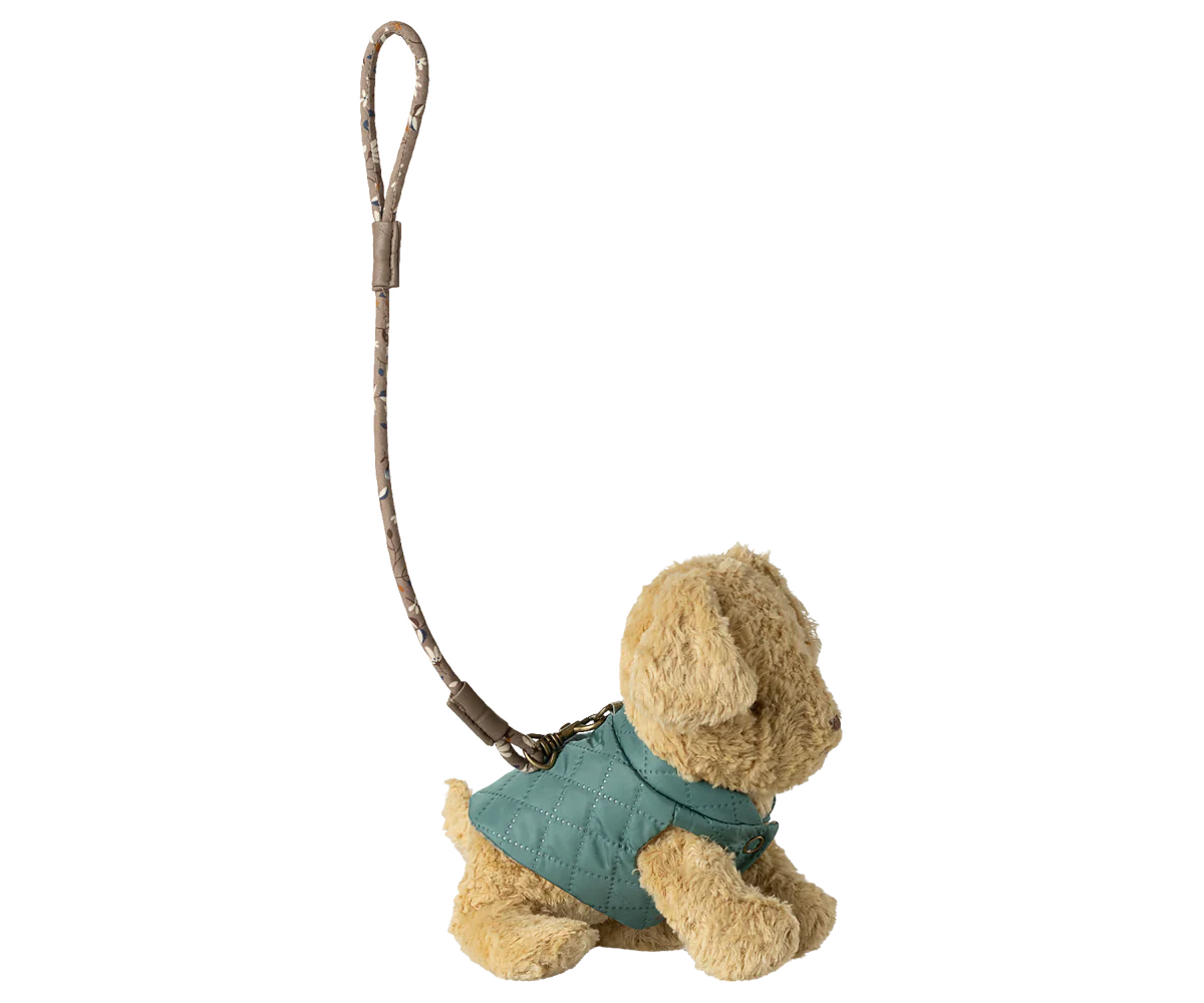 Pet supply, Harness and leash - Dark mint