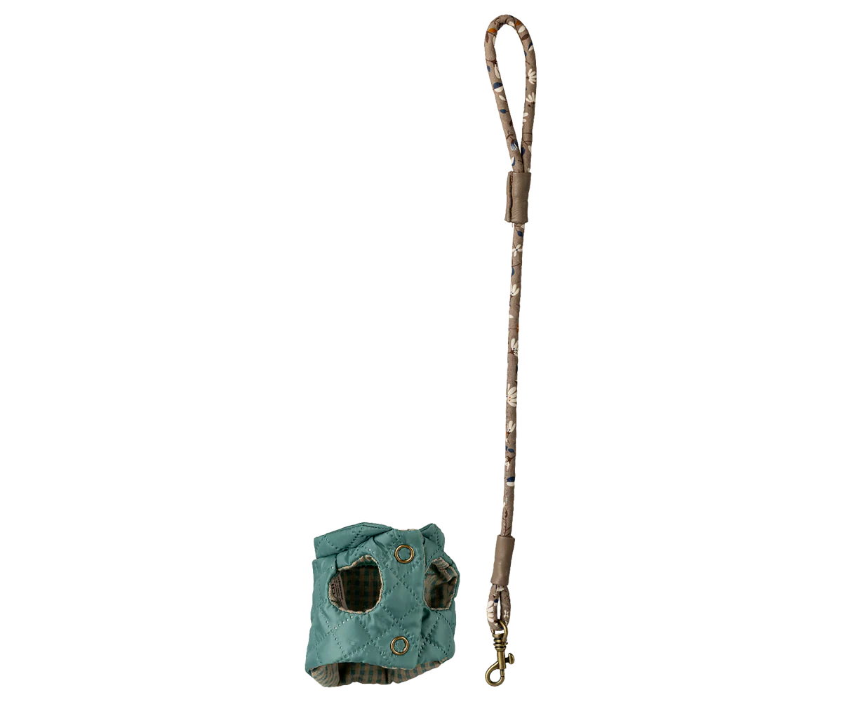 Pet supply, Harness and leash - Dark mint