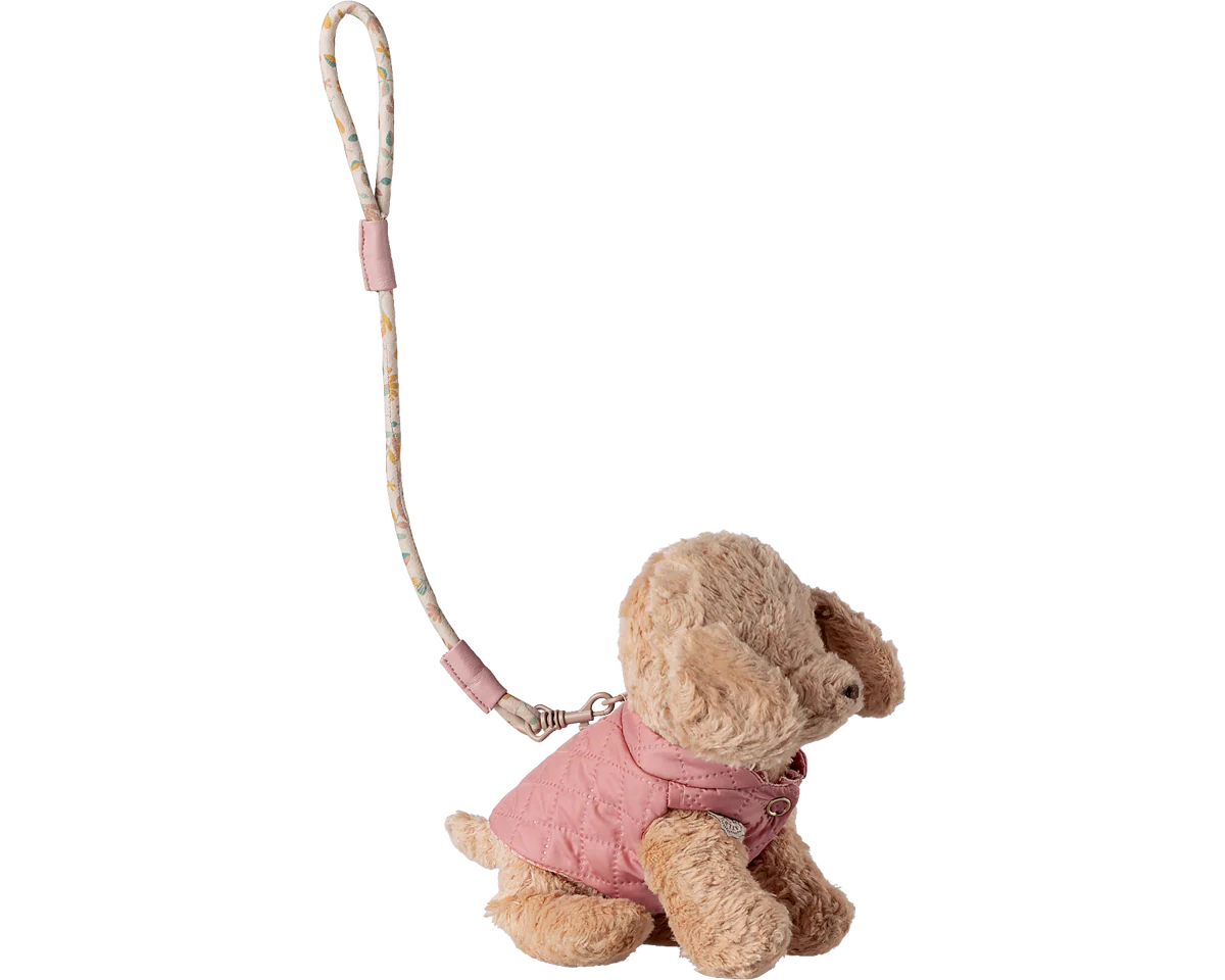 Pet supply, Harness and leash - Rose