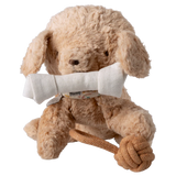 Pet supply, Toys