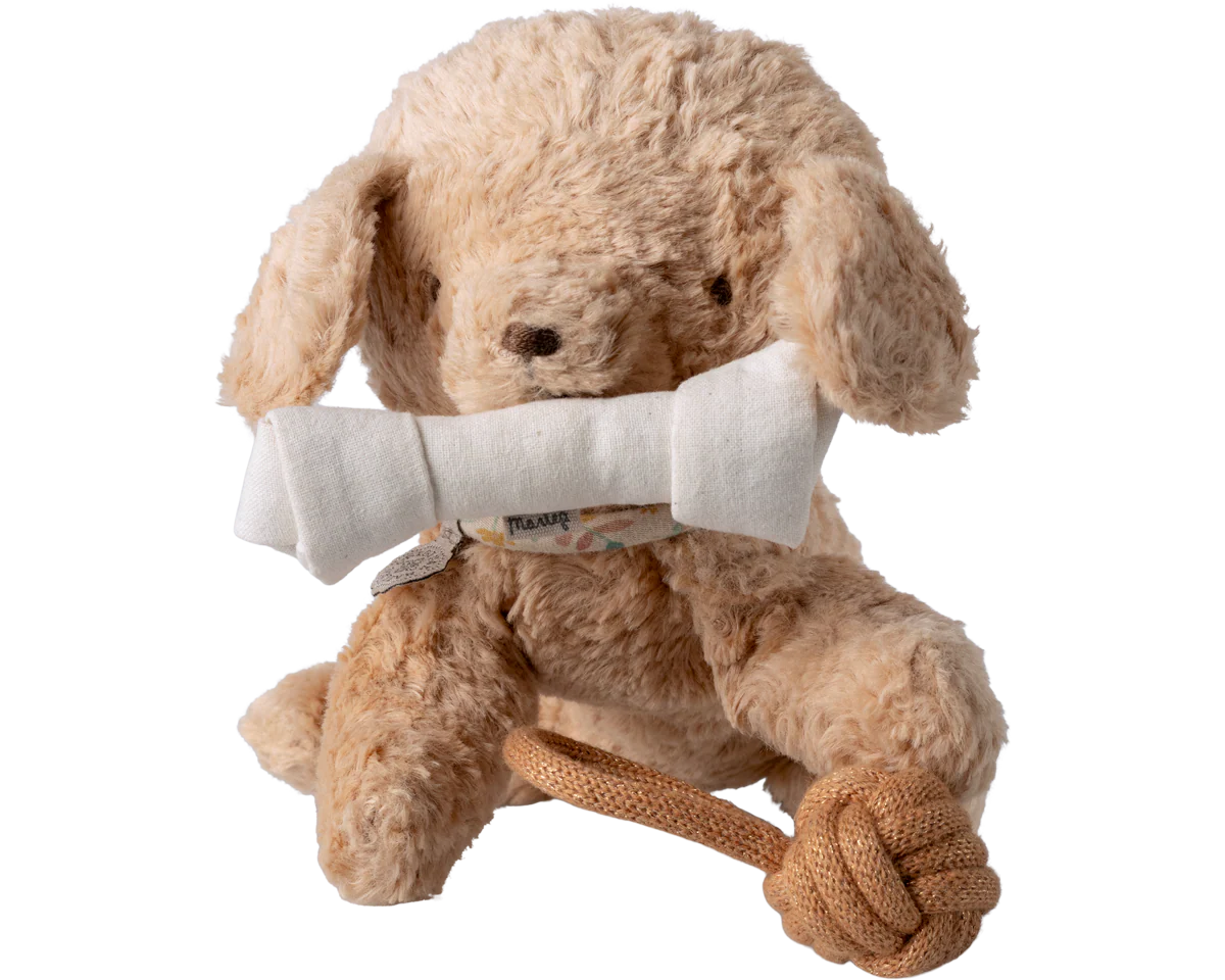 Pet supply, Toys