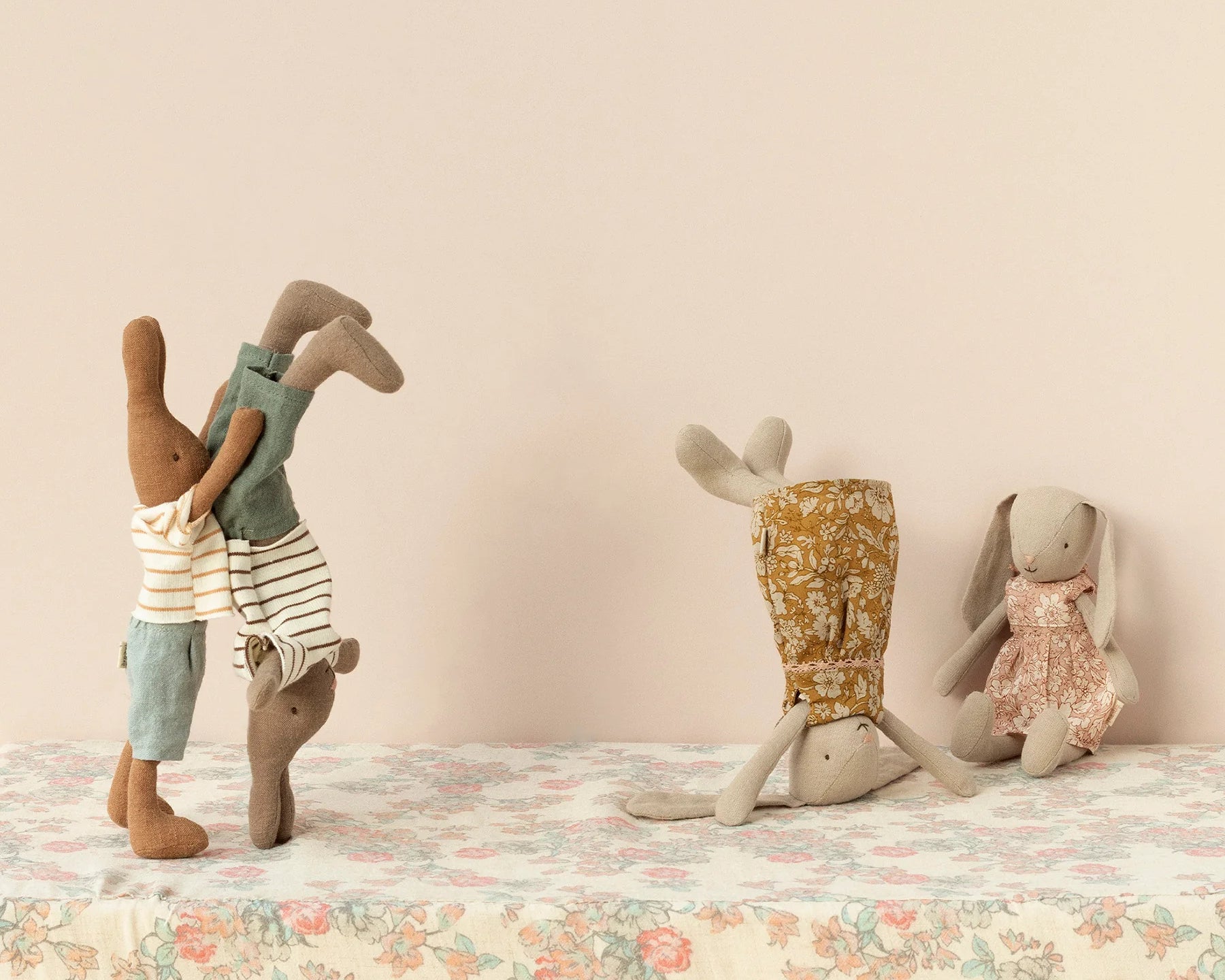 Rabbit, Size 1 - Chocolate brown - Striped blouse and shorts