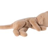 Sleeping kitten plush, Small - Cream peach