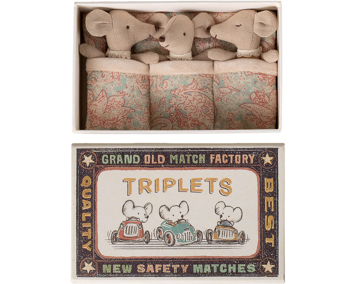 Triplets, Baby mice in matchbox - Checker