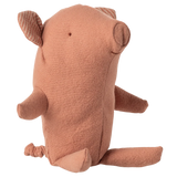 Truffle pig, Baby