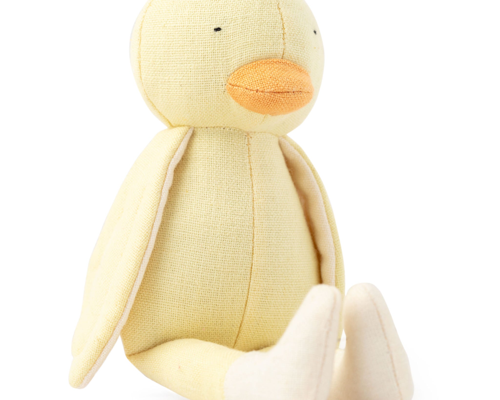 Charlie The Chick