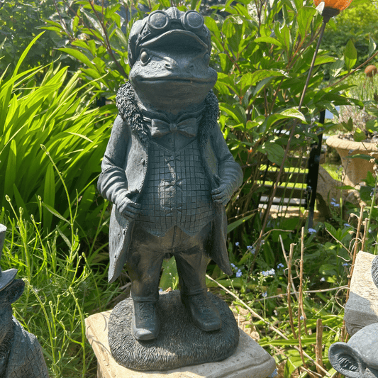 Mr Toad Home Garden Ornament